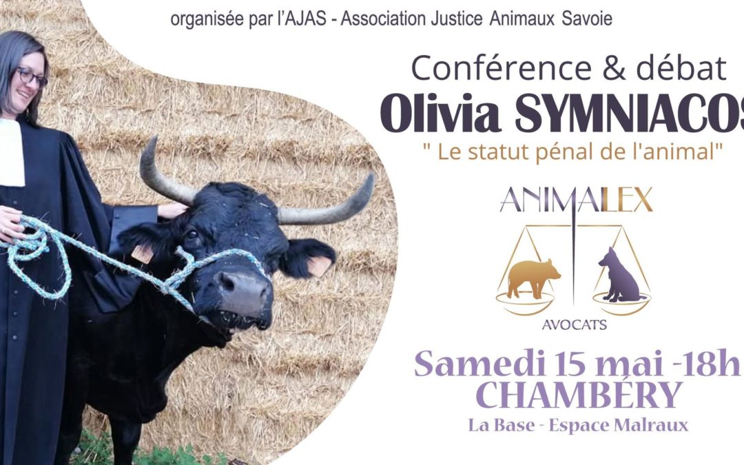 Conférence débat « Le statut pénal de l’animal » avec Olivia Symniacos, avocate en droit animalier