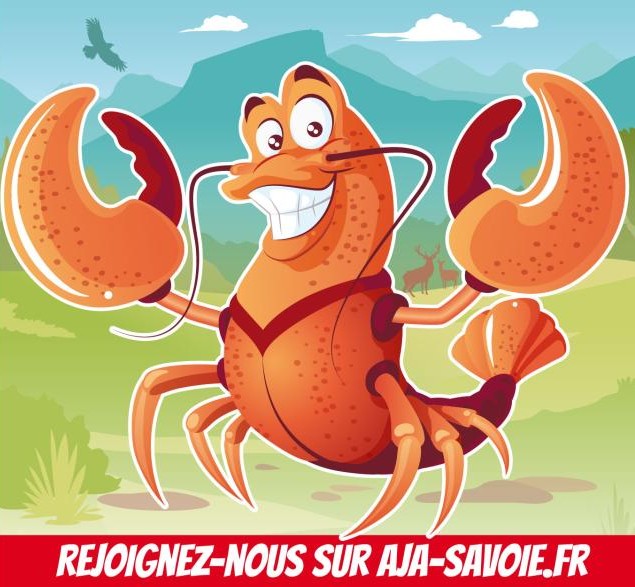 Stop au commerce des homards vivants !
