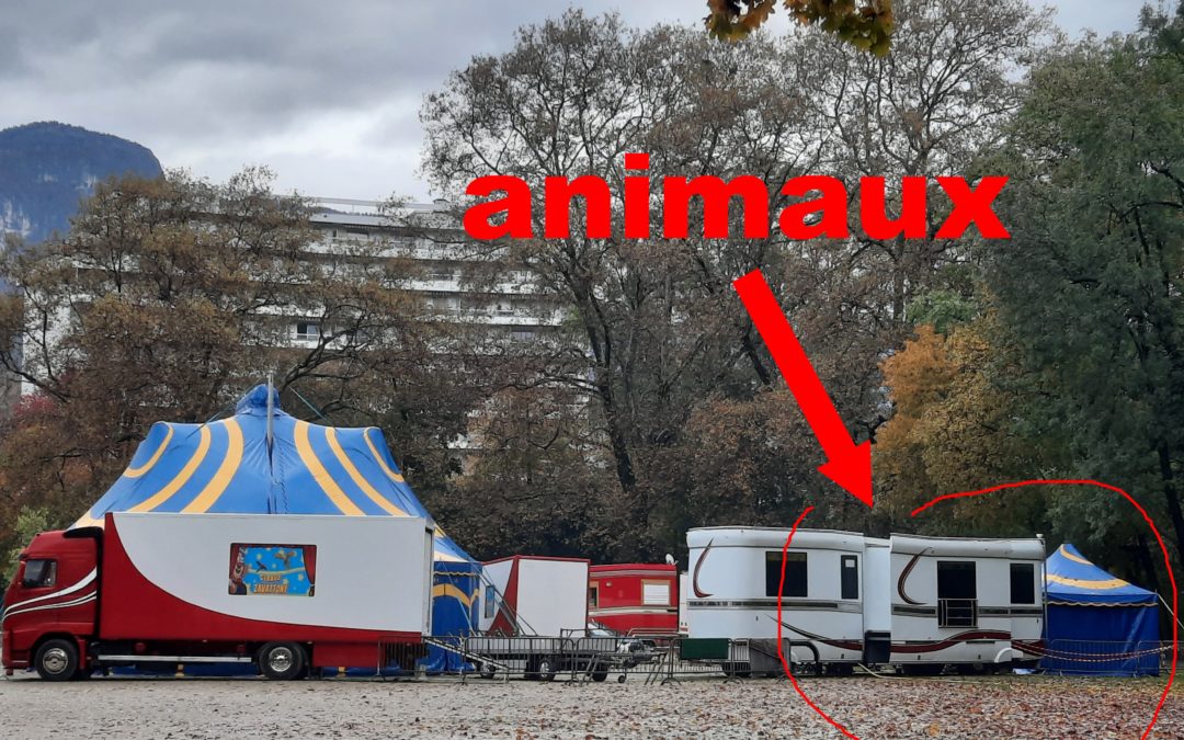 Chambéry : stop aux animaux dans les cirques !