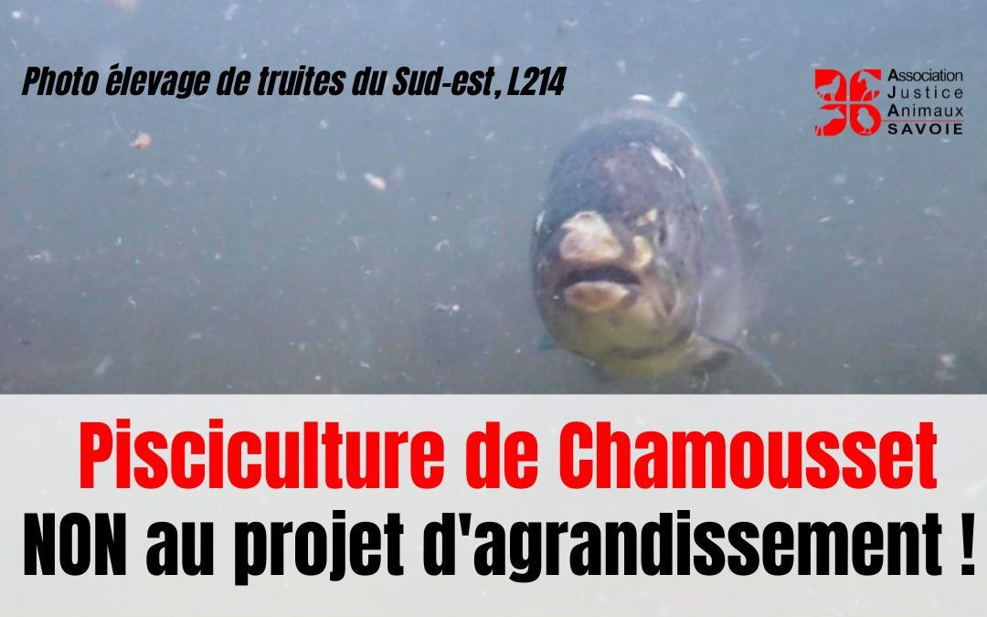 NON au projet d’agrandissement de la pisciculture de Chamousset !