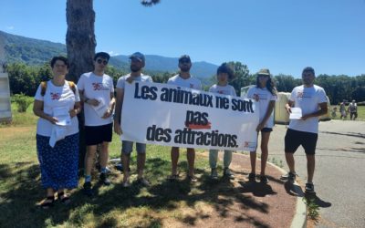 L’AJAS manifeste contre le toro-piscine à Sainte-Hélène-du-lac