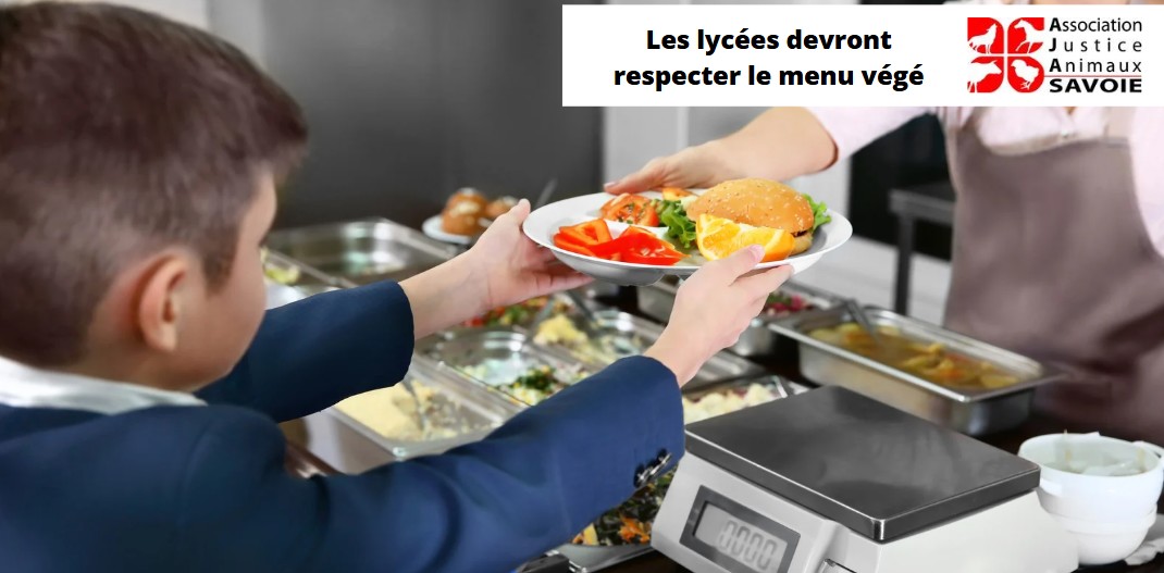 L’AJAS fait condamner la Région AURA pour mauvaise application du menu végétarien dans ses lycées