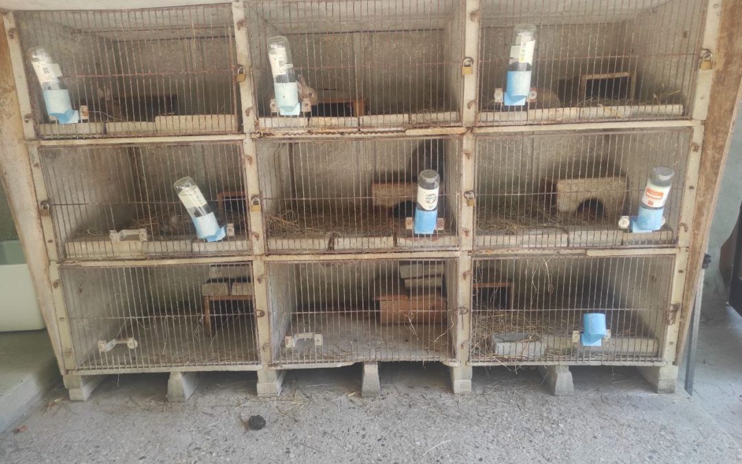 Non aux animaux à la ferme “pédagogique” municipale du Forezan à Cognin !