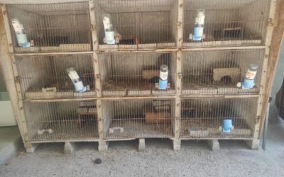 Non aux animaux à la ferme “pédagogique” municipale du Forezan à Cognin !