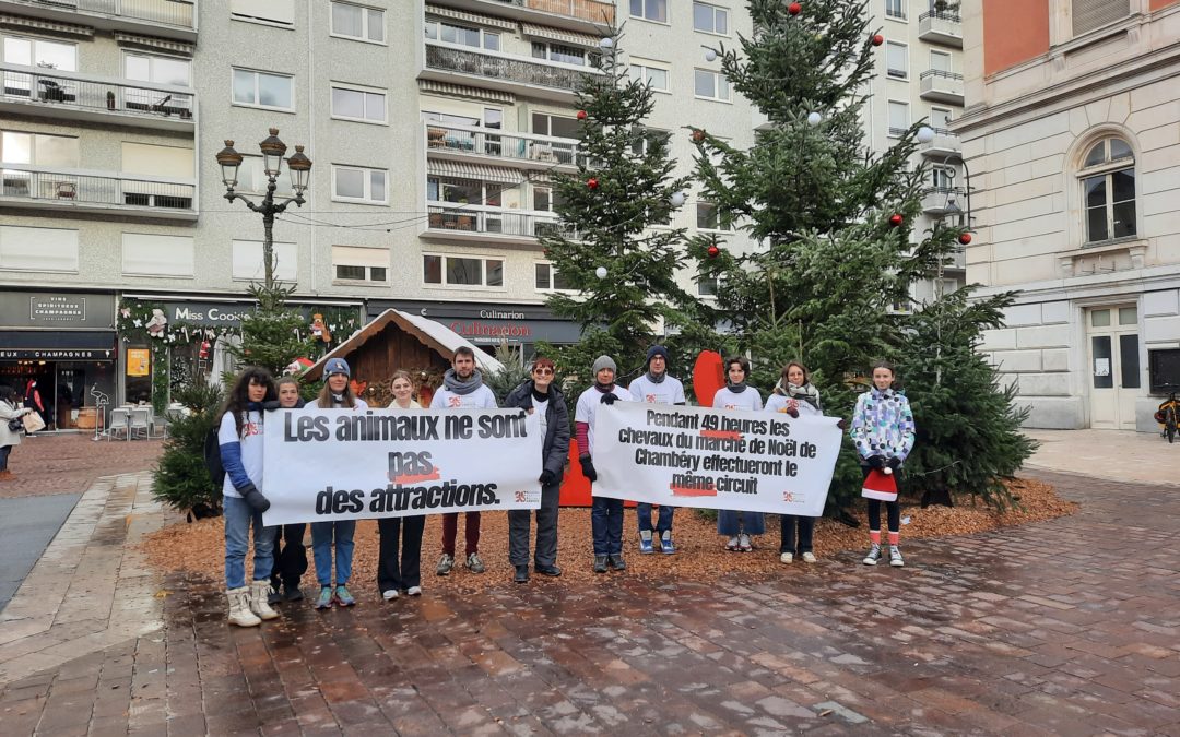 Stop aux calèches sur le marché de Noël de Chambéry !