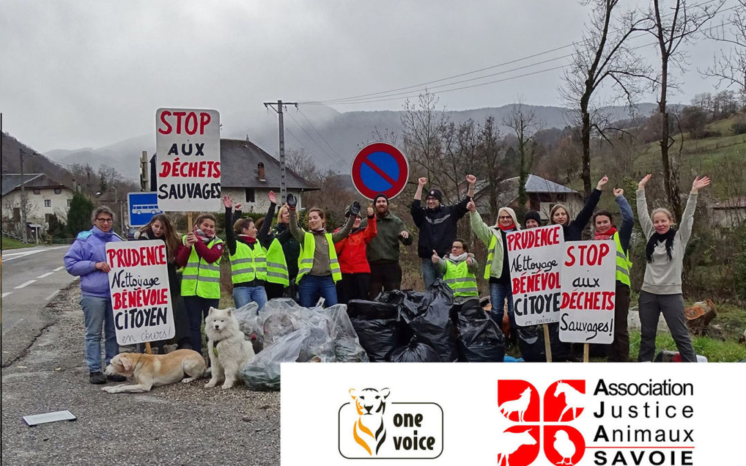 Stop aux déchets ! Nettoyons la Nature en Savoie