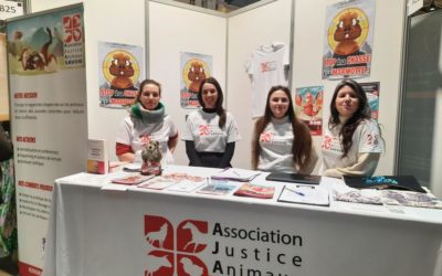 L&rsquo;AJAS recrute une chargée de mission Vie associative (H/F) en CDD