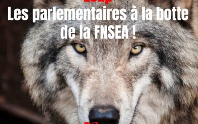 Loup : gouvernement et parlementaires savoyards à la botte de la FNSEA !