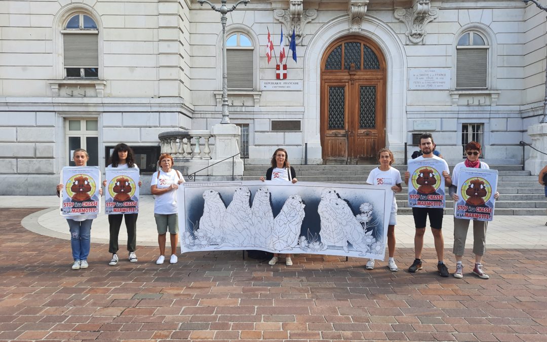 Une fresque participative à Chambéry contre la chasse à la marmotte