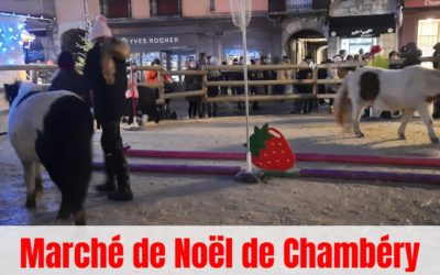 Vers la fin des poneys sur le marché de Noël de Chambéry ?