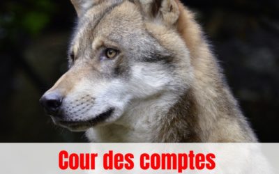 Argent versé pour la « gestion du loup » nous voulons la transparence !