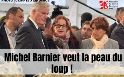 Par pur clientélisme électoral, Michel Barnier veut tuer plus de loups !