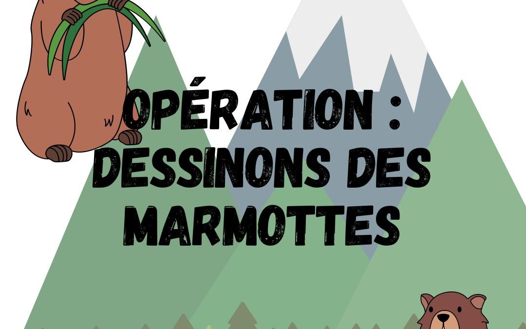 Opération : dessinons des marmottes !