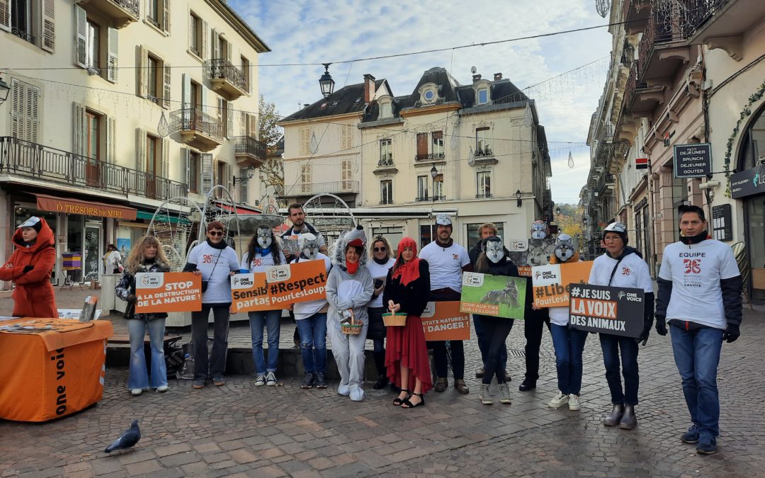 Happening pour défendre les loups