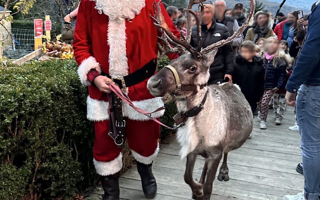 Stop aux parc à rennes au Château du Père Noël de Menthon-Saint-Bernard !