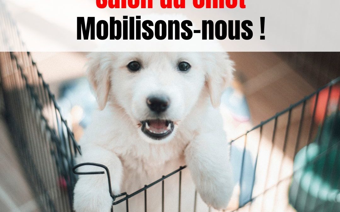 Mobilisation contre les salons du chiot