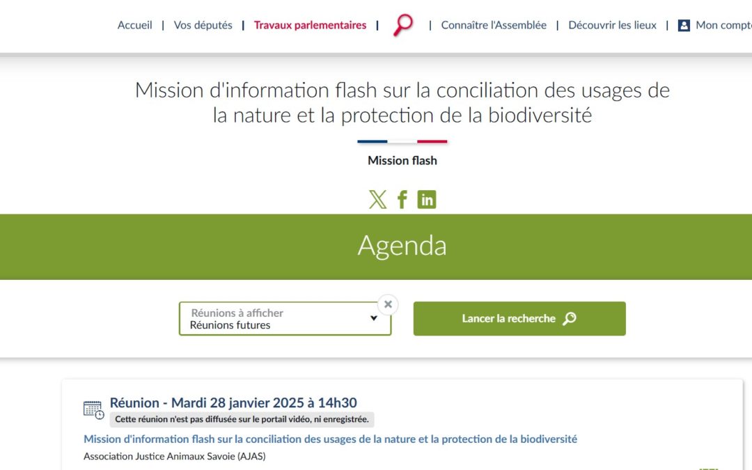 Mission flash : l’AJAS auditionné