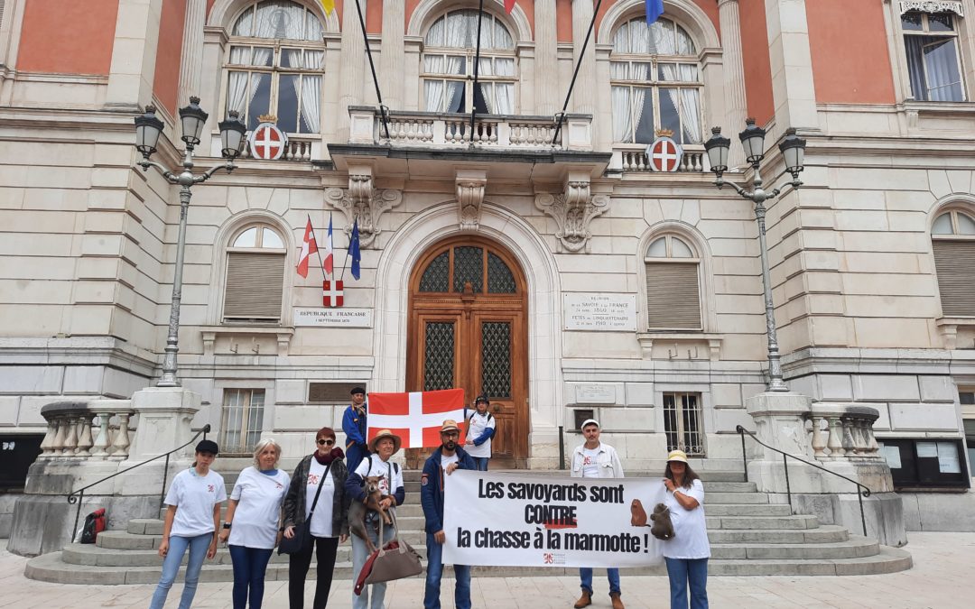 Mobilisation de « savoyards » contre la chasse à la marmotte