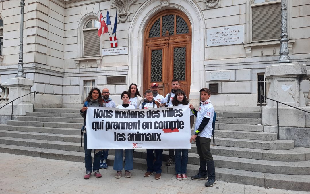 Municipales : l’AJAS demande aux candidats des engagements pour les animaux