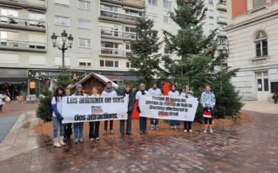 Stop aux calèches sur le marché de Noël de Chambéry !