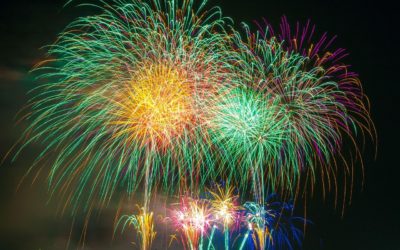 Animaux traumatisés : l’AJAS demande la fin des feux d’artifice