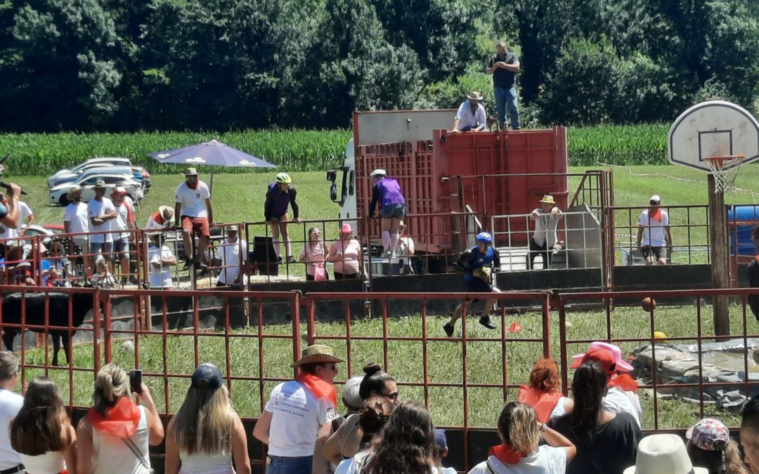 Non aux vachettes à la « Feria à la ferme » !