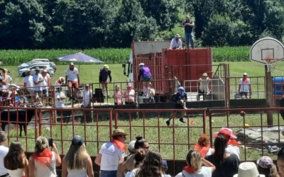 Non aux vachettes à la « Feria à la ferme » !