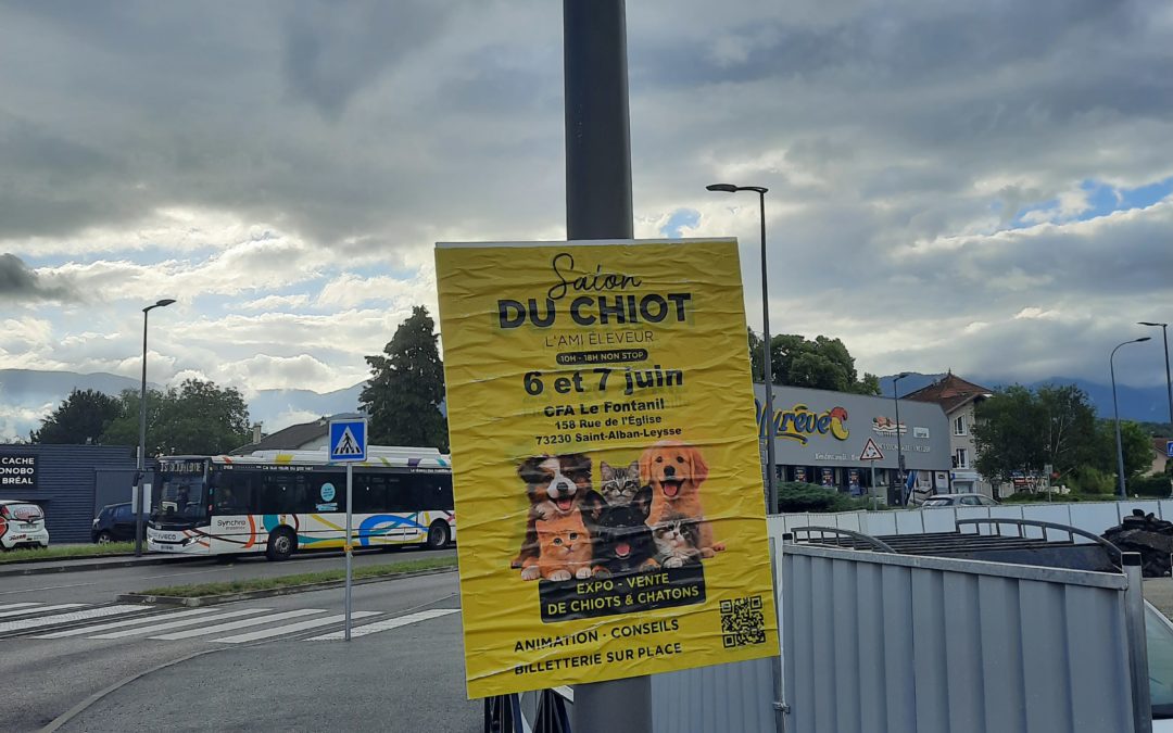 Dernière édition pour le salon du chiot au Fontanil